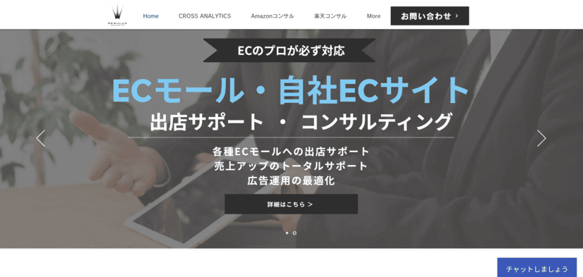 レギュラス・ソリューションズ株式会社